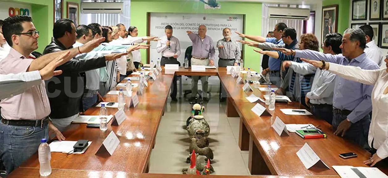 Instalan Comité de Estrategias para reducir la Mortalidad Infantil