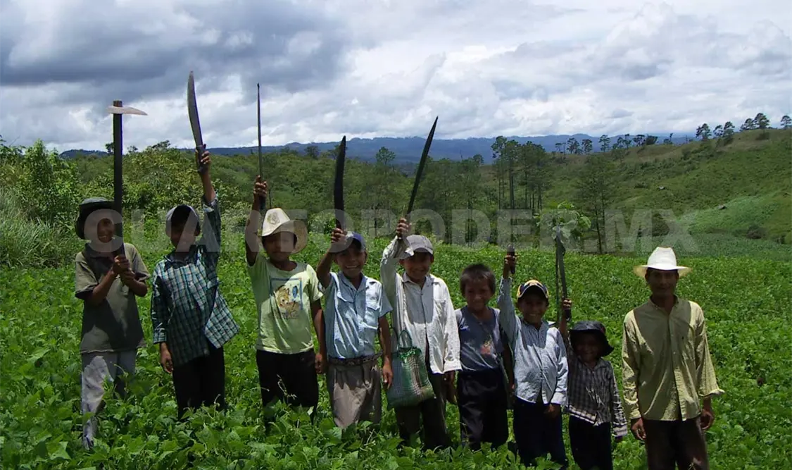 Autorizan 300 mdp para productores chiapanecos