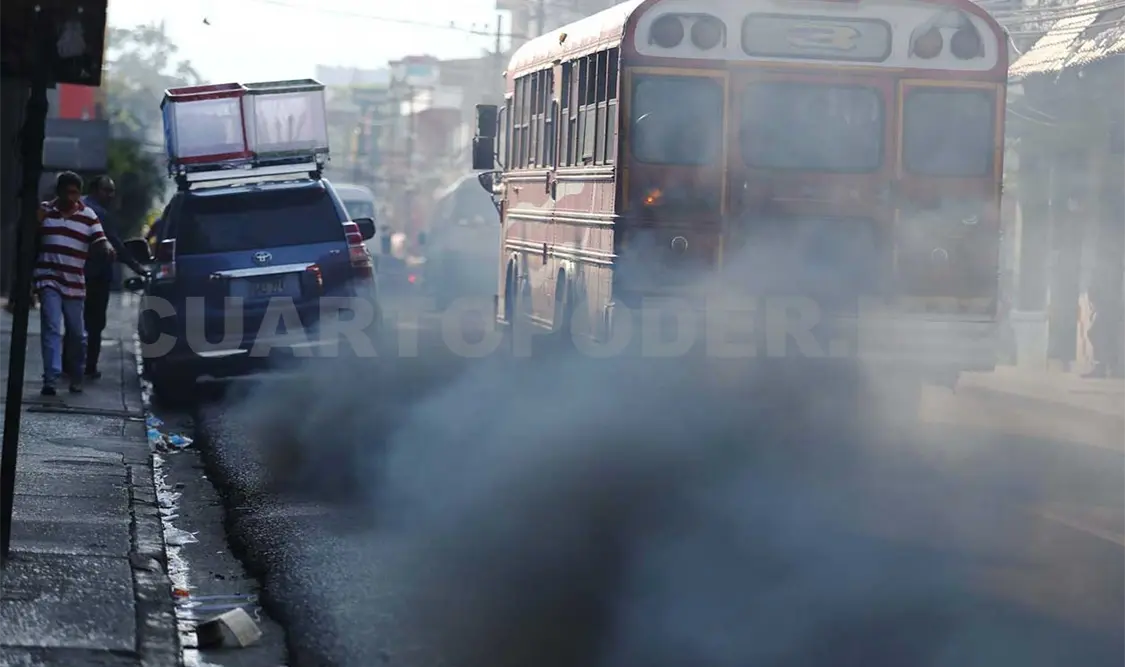 Eliminar subsidios ayudará al medio