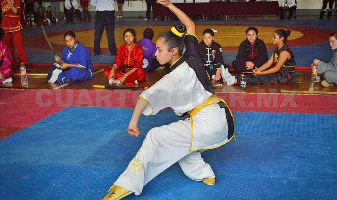 Wushu cierra año con excelentes resultados