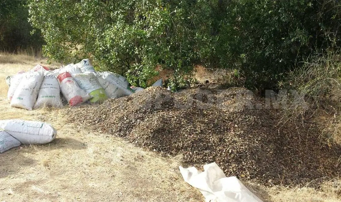 Atienden degradación de suelos en la ciudad de Berriozábal