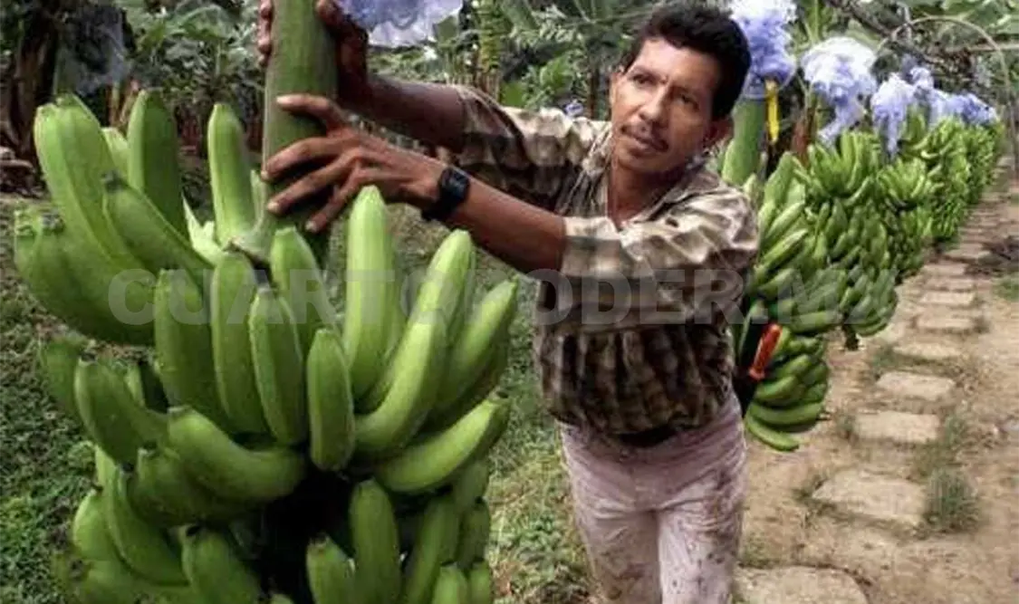 Reportan sanciones a ranchos agrícolas