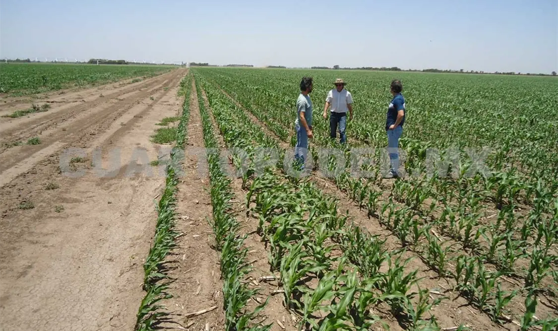 Reafirma Manuel Velasco compromiso con el campo