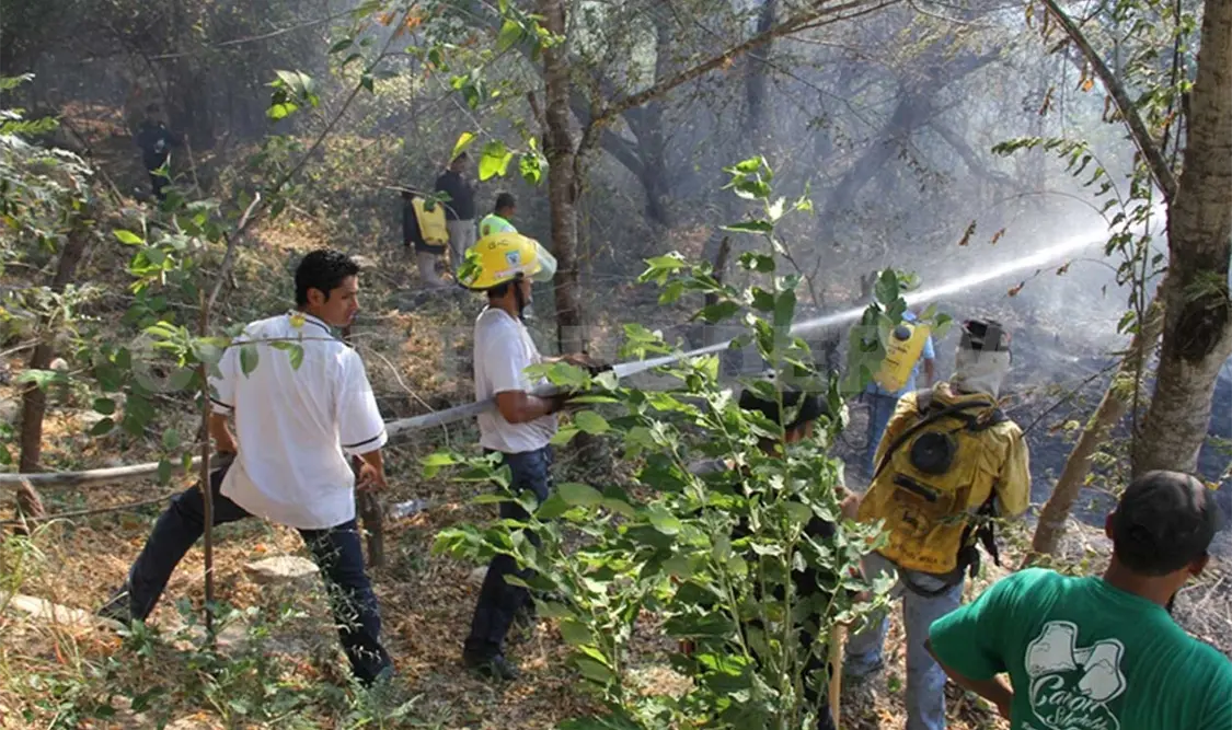 Gobierno y sociedad trabajan por la prevención de incendios
