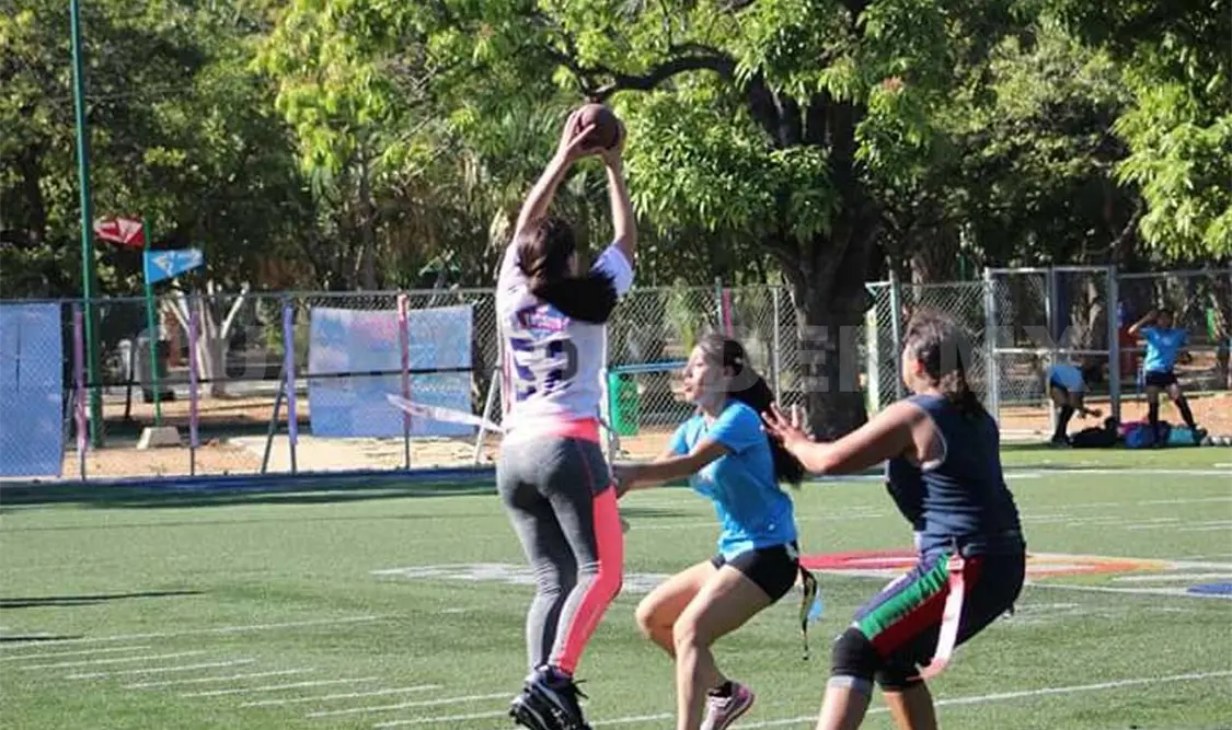 Dolphins buscará liderato de la Liga