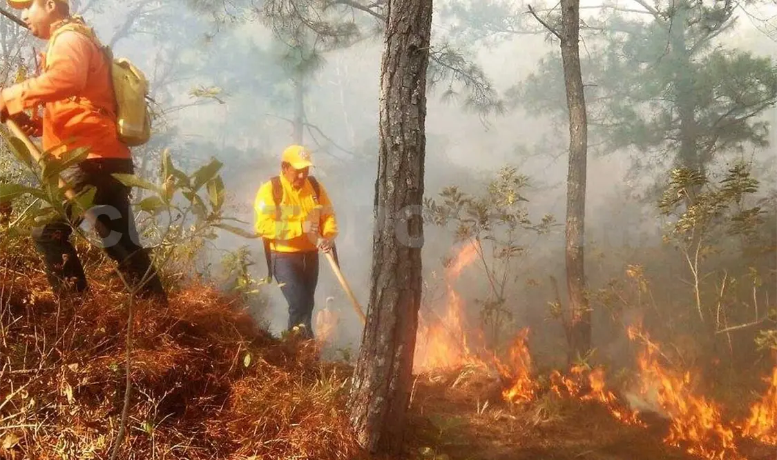 Controlan incendios forestales en Jiquipilas