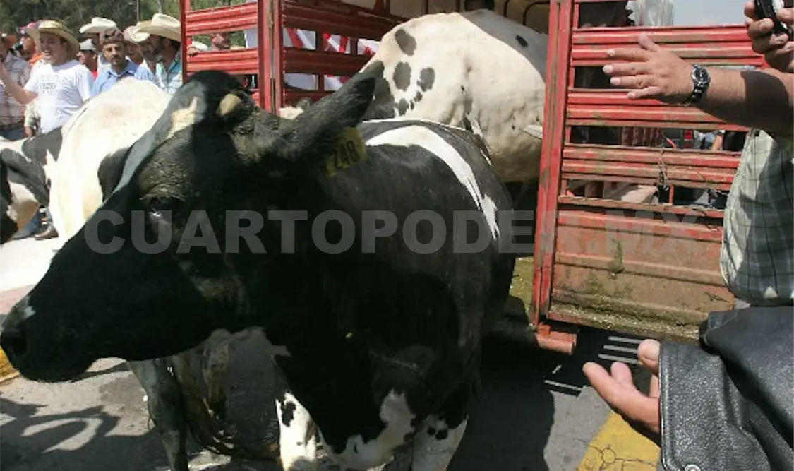 Aprehende PGJE a sujeto por abigeato