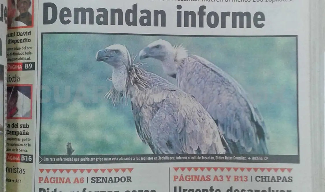 Siniestro pasado: Damnificados viven en la pobreza
