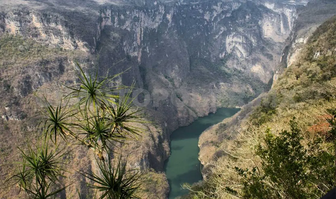 Saldo blanco tras vacaciones en Áreas Naturales