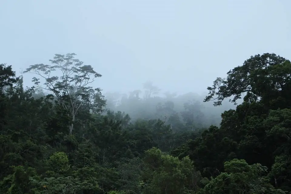 Montes Azules celebra 39 años como Reserva de la Biosfera
