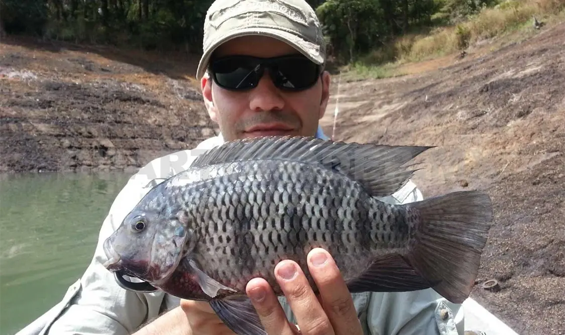 Listo calendario de Pesca Deportiva 2017
