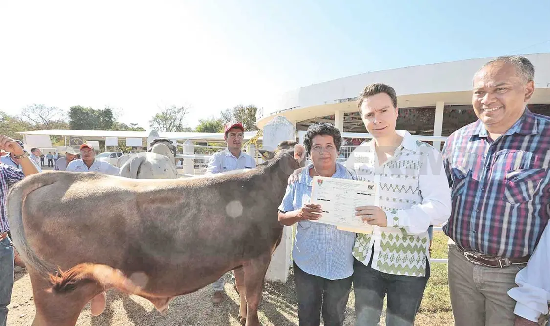 Entrega Manuel Velasco sementales a ganaderos