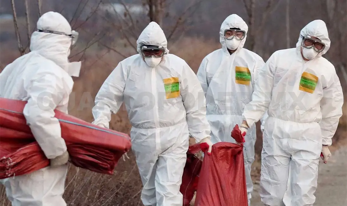 Expertos del Centro de Control advirtieron de que China ha entrado en la temporada alta de infección del virus H7N9. AP