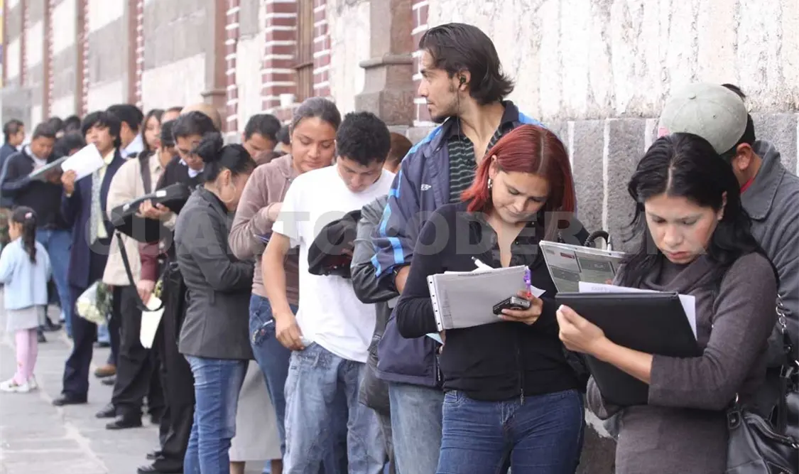 Baja tasa de desempleo: OCDE