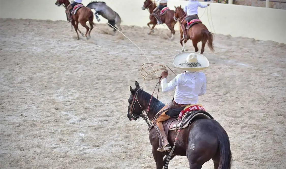 Rancho San Rafael, el rey en Santa Teresita