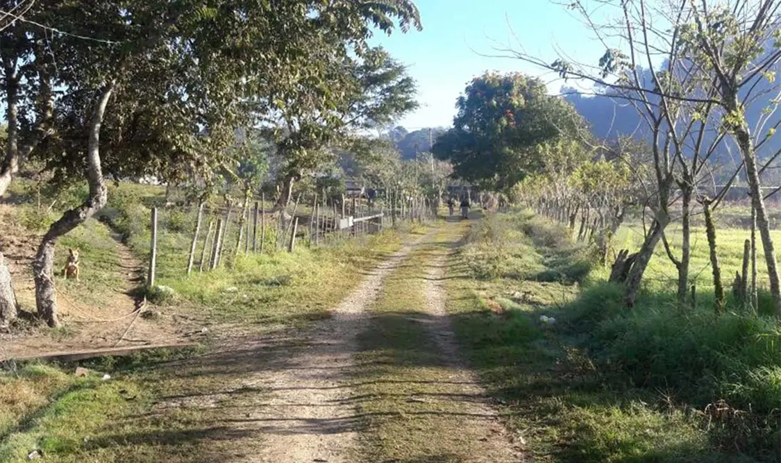 Restituye PGJE rancho en Chilón