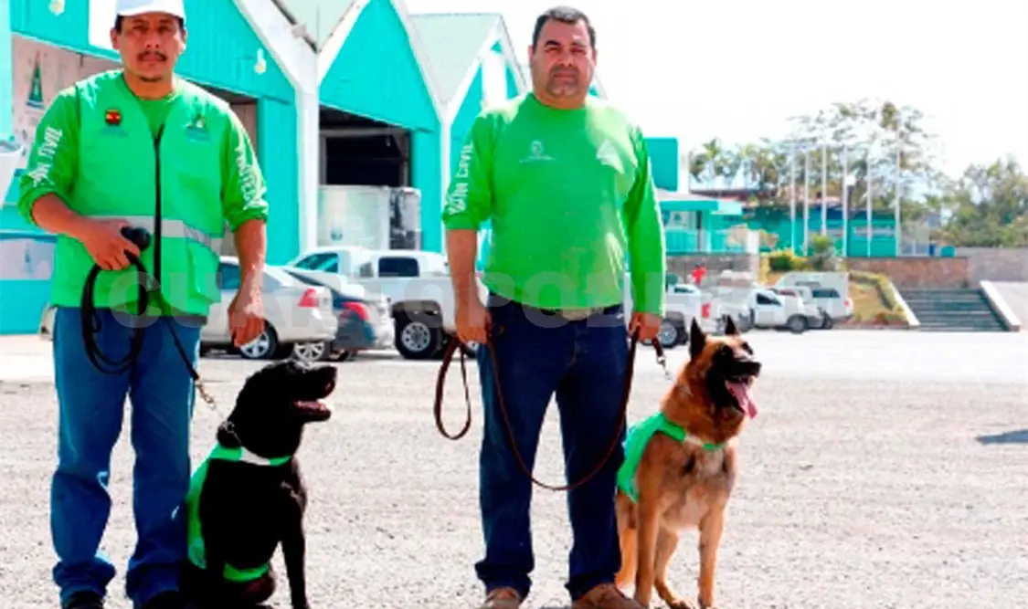 Unidad Canina fortalece la reducción de riesgos