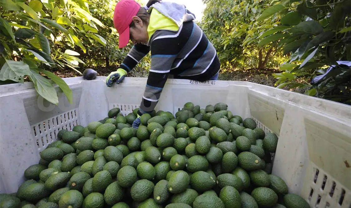 No hubo represalia comercial en EUA