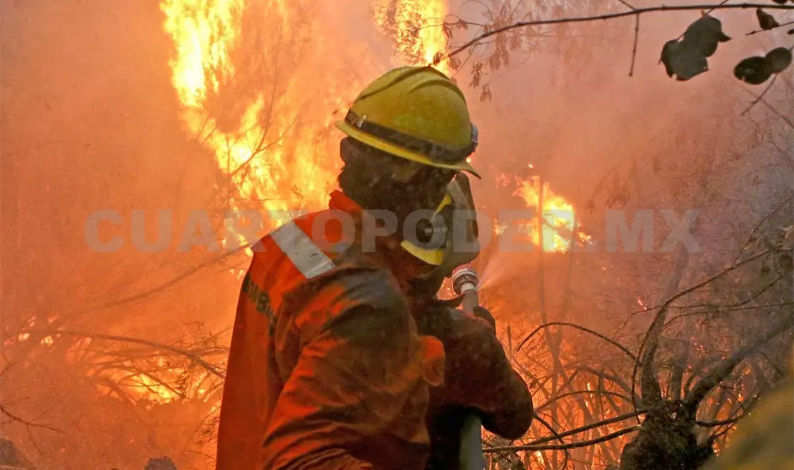 Los incendios en Chile llevan dos semanas y han consumido más de 340 mil hectáreas. AP