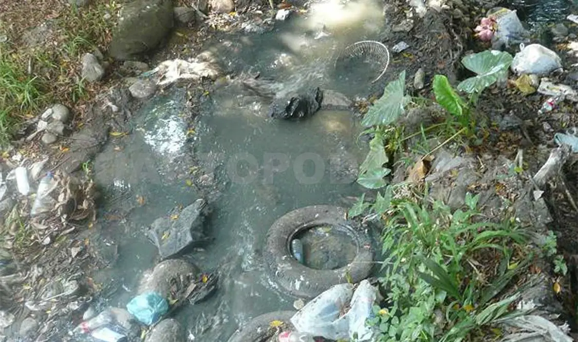 Las principales fuentes de contaminación son las aguas residuales que emanan de las colonias en los márgenes de los ríos. CP