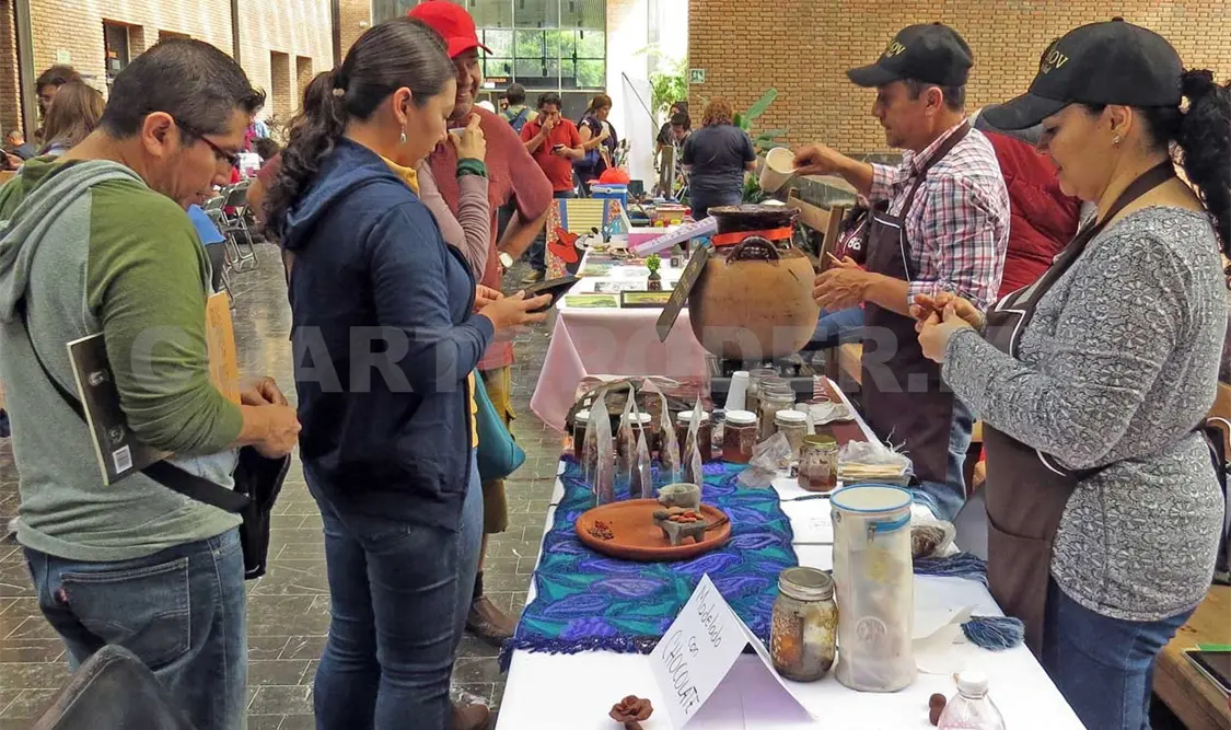 Las actividades del “Corredor Cultural” se desarrollarán este domingo 5 de febrero de 11 de la mañana a 4 de la tarde. CP