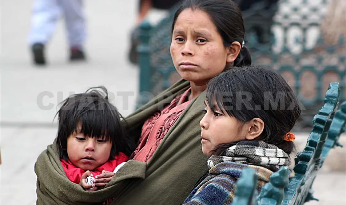 En los últimos cuatro años el seguro de vida ha beneficiado a 1,704 hijos de 847 jefas de familias fallecidas. CP