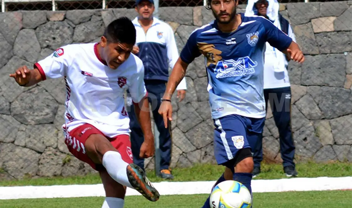 Felinos y Burros dividen puntos