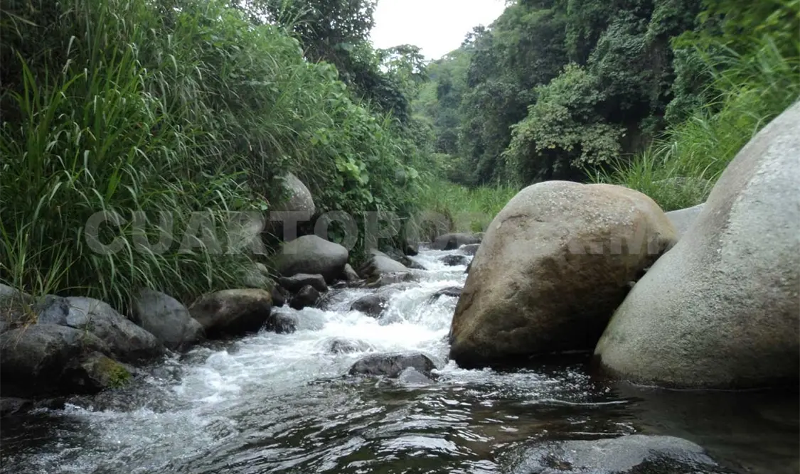 Chiapas concentra 30 por ciento del agua dulce del país