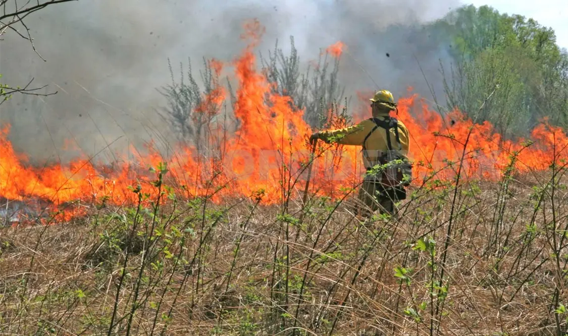 Sequía extrema detonaría prevalencia de incendios
