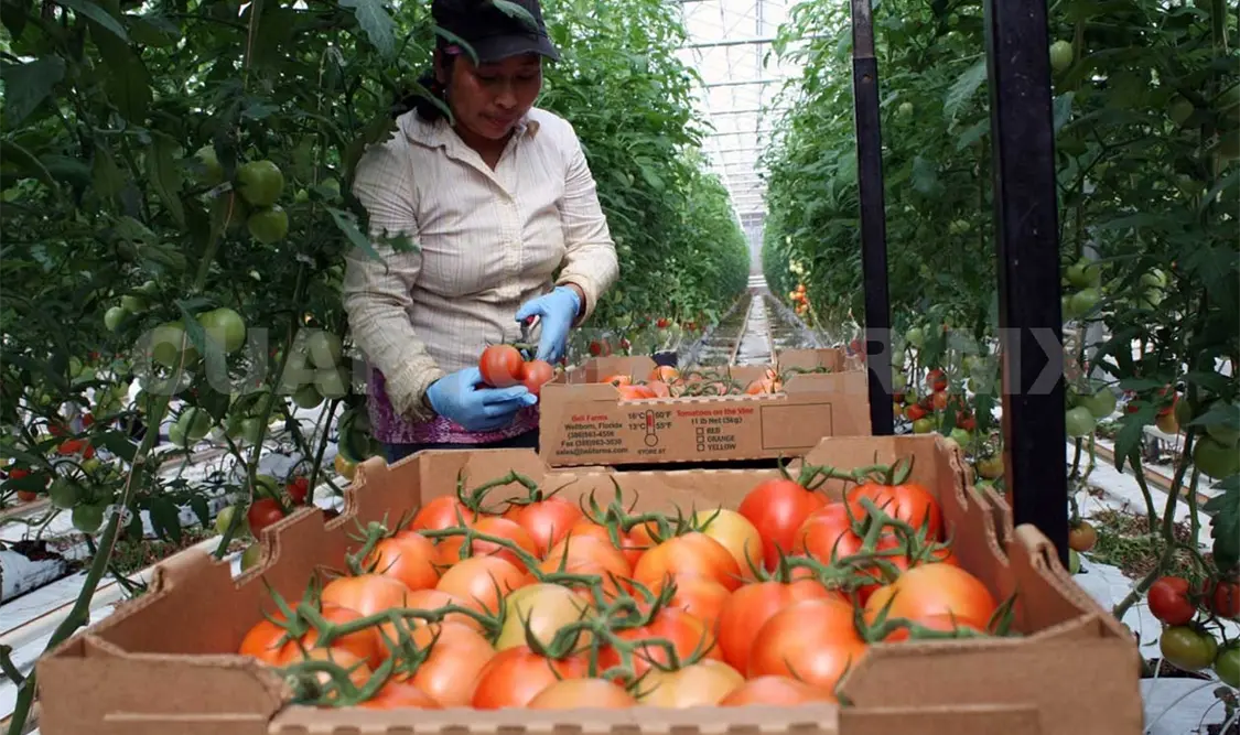 Buscan incrementar comercio
