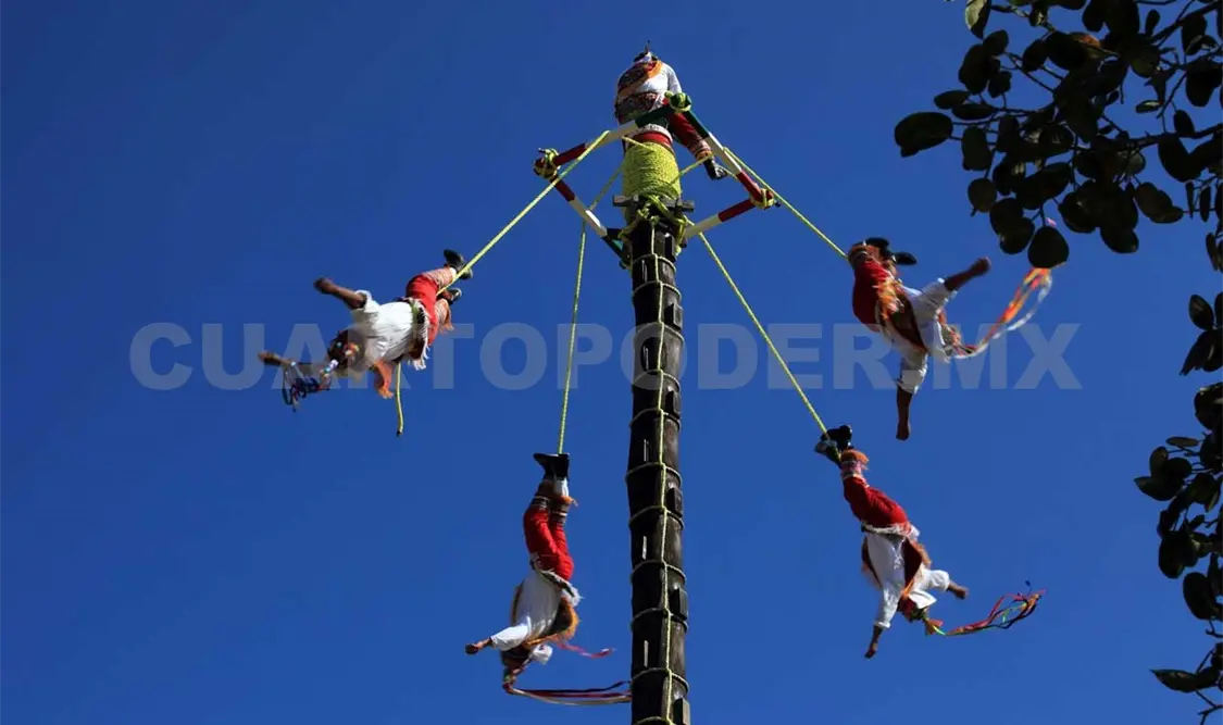 Voladores deben ser exterminados
