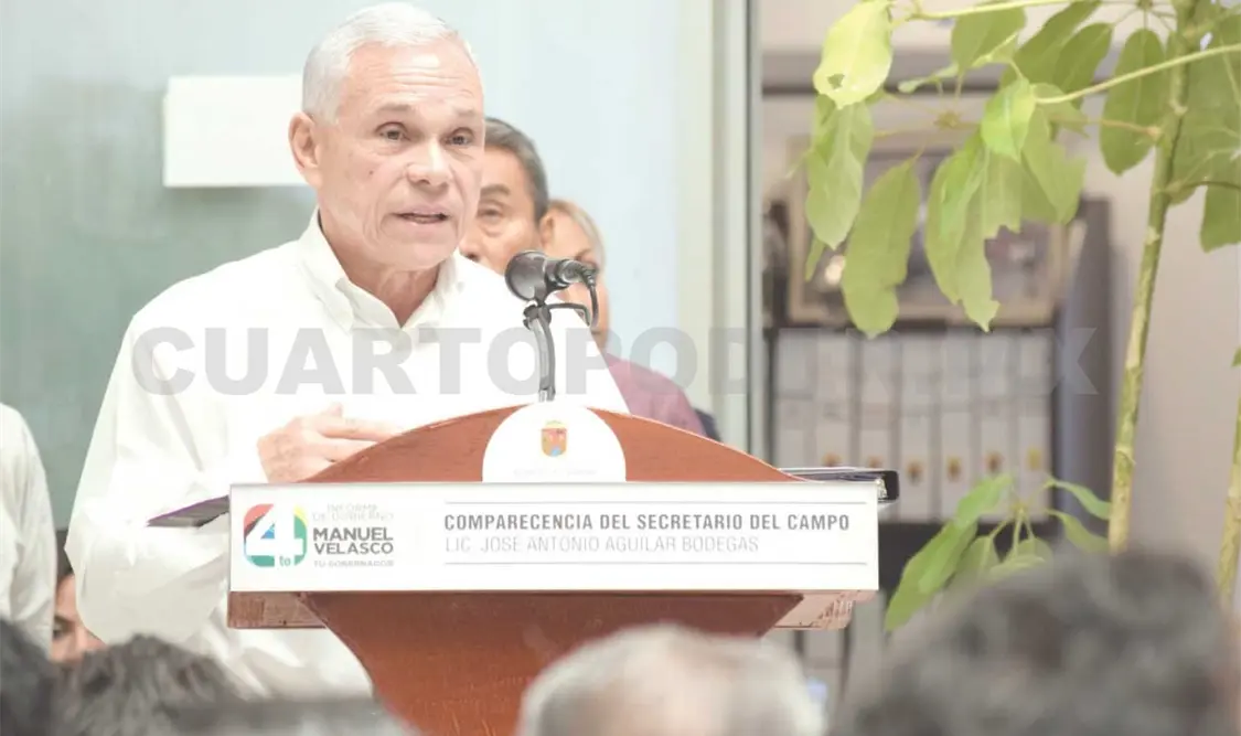 Despunta exportación de ganado chiapaneco a EU