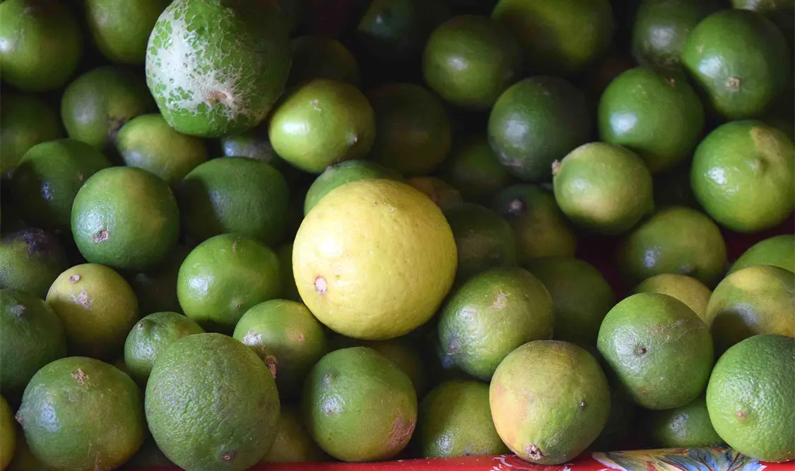 Limón escasea en la entidad