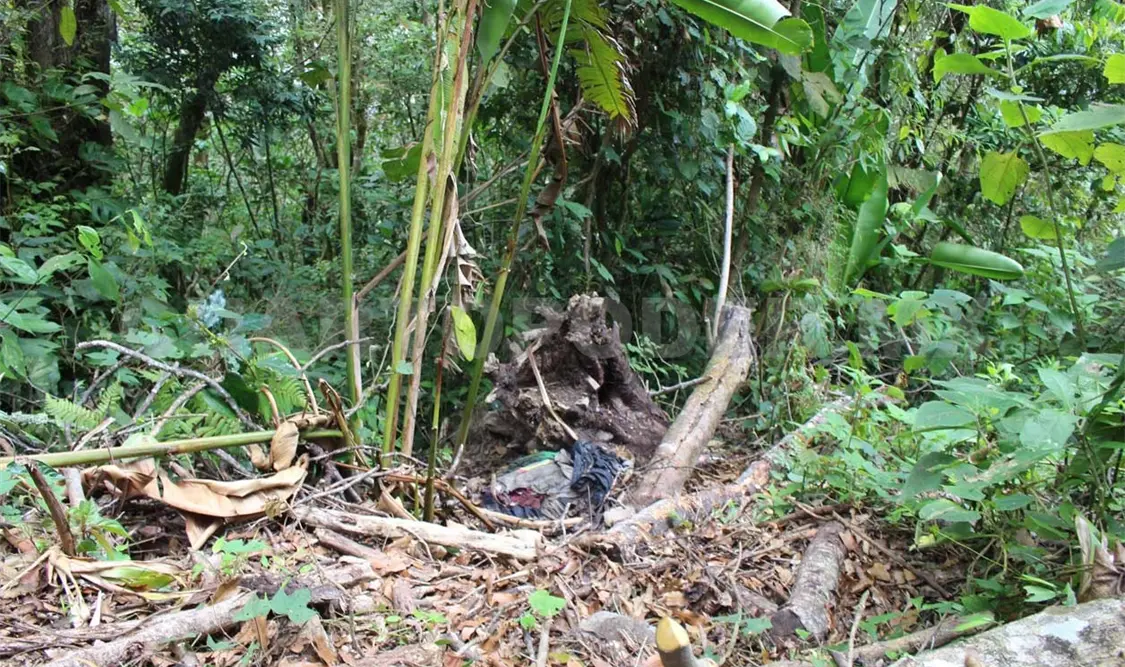 Localizaron osamenta en un predio