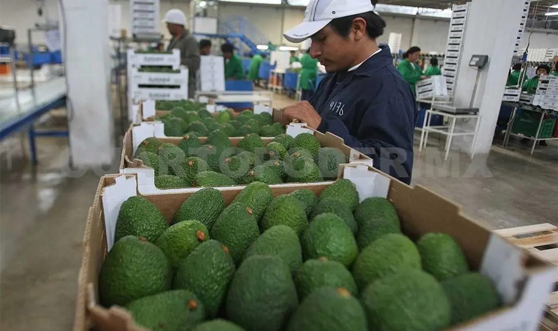 Descartan cierre de EU a productos chiapanecos