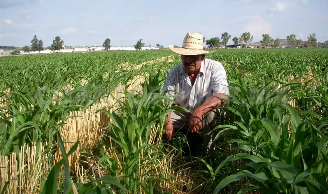 Productores sin registro quedarán fuera de apoyos