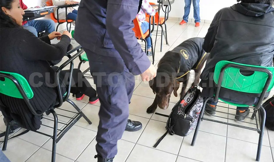 Permanece revisión de mochilas en escuelas del estado