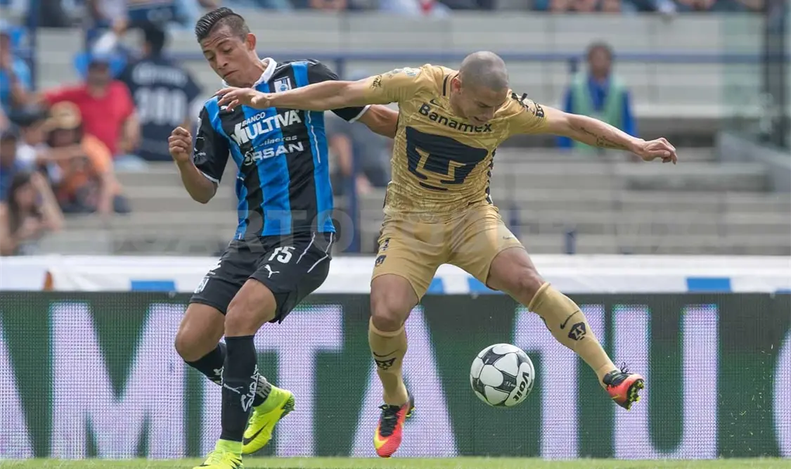 Gallos Blancos querrá domar a Pumas