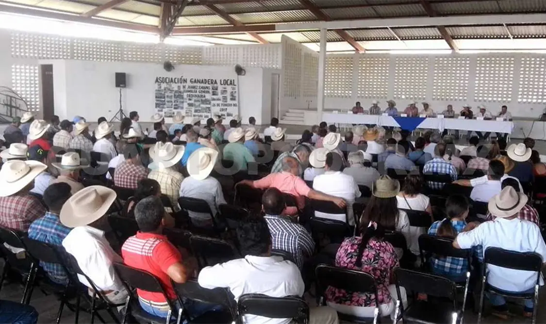 Acusan desfalco del expresidente de ganadera local
