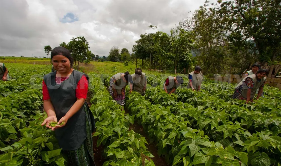 Programas del campo para mujeres repatriadas