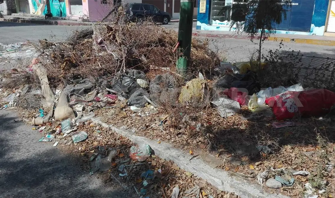 En el camellón la basura está concentrada desde hace ya varias semanas y despide olores desagradables. Harald Flores / CP