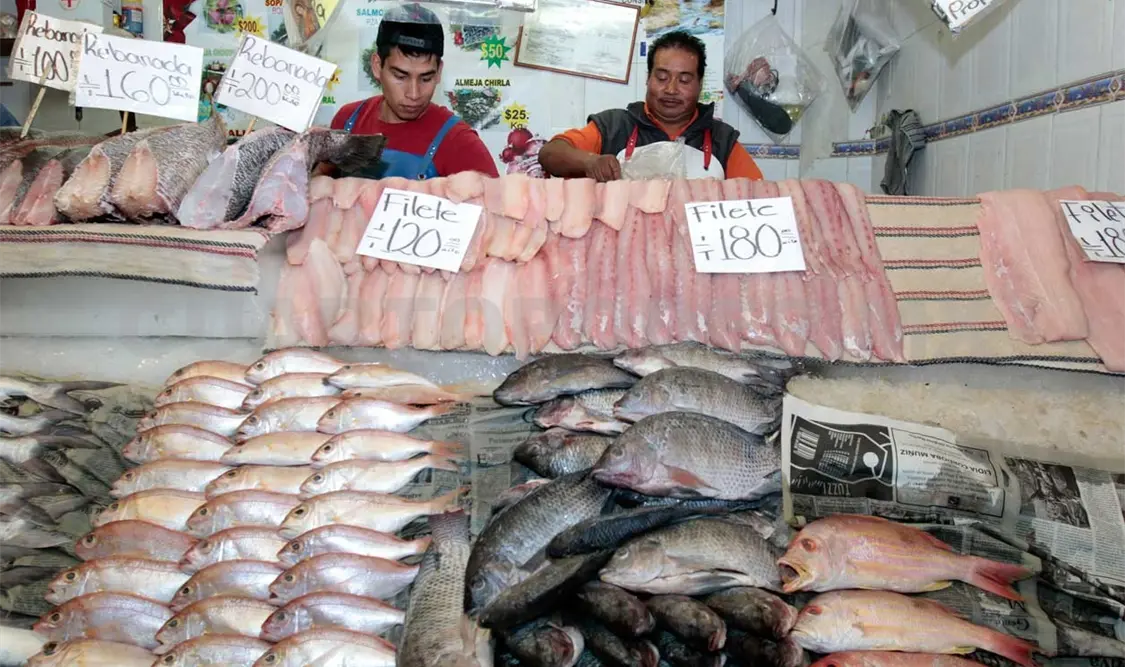 Piden vigilar venta de pescados y mariscos