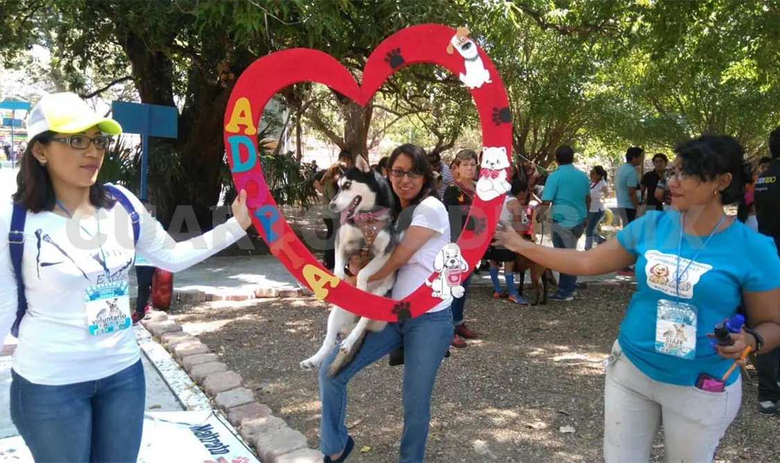 Mascotas de Tuxtla tuvieron parque por un día
