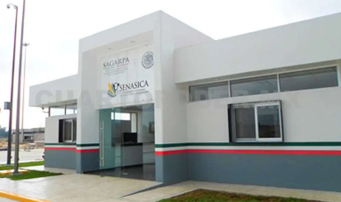 Fortalecen vigilancia en la Frontera Sur