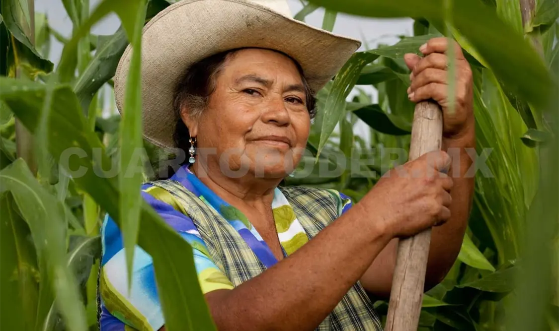 MUJERES , SOPORTE DE CHIAPAS