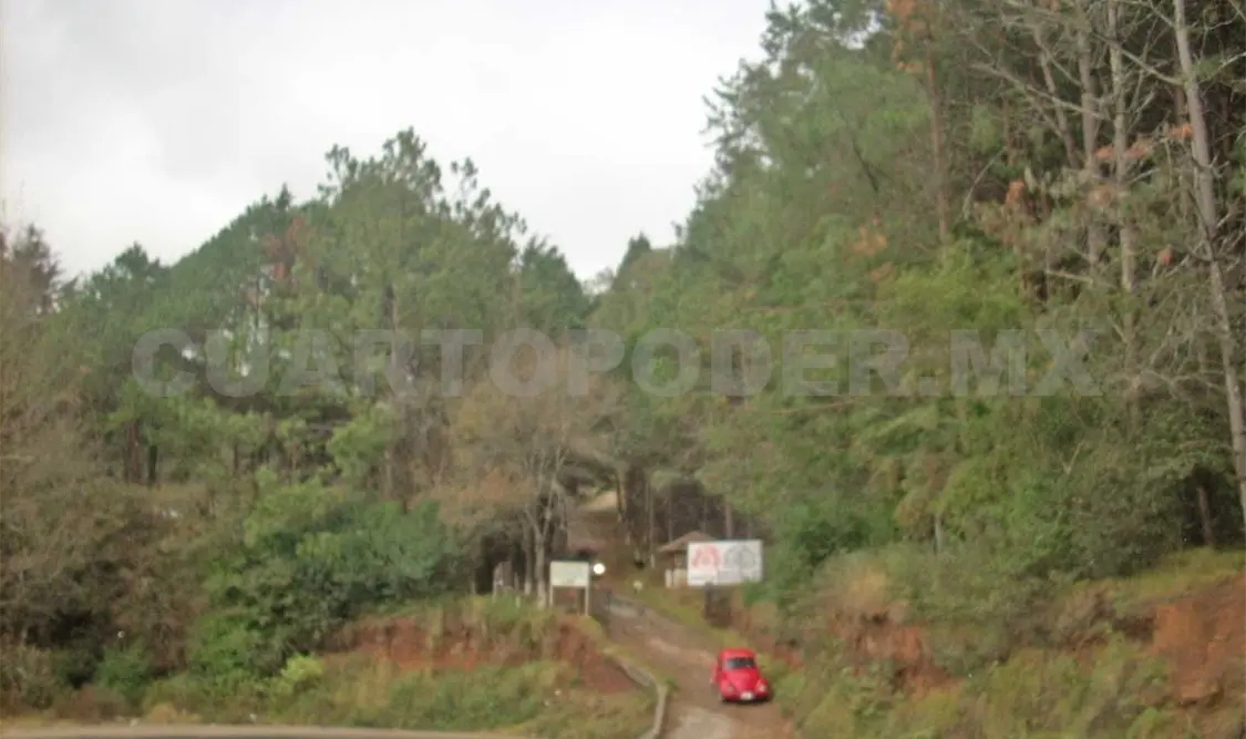 Piden justicia en torno a invasión en Reserva