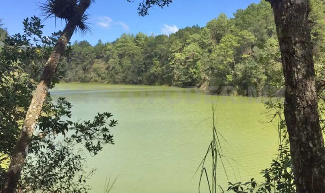 Parque Nacional Lagunas de Montebello. Cortesía