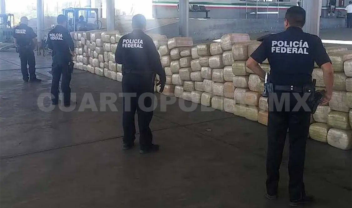 Decomisan más de 3 toneladas de mariguana en Nuevo León