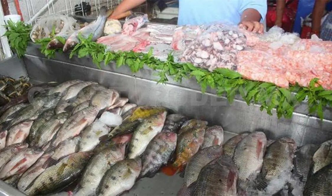 Necesario verificar condiciones de mariscos