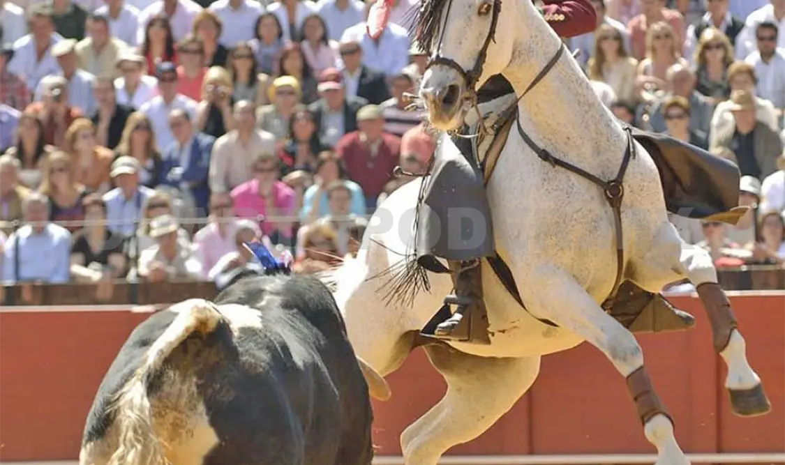 Anuncian grandes corridas taurinas en SCLC